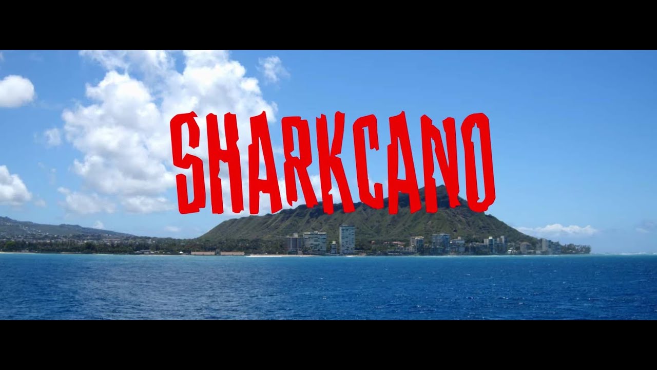 🦈 SHARKCANO 🌋