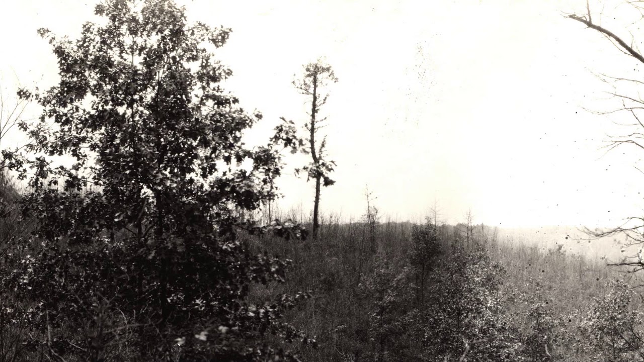 Yellowwood Q&A - History of the state forest