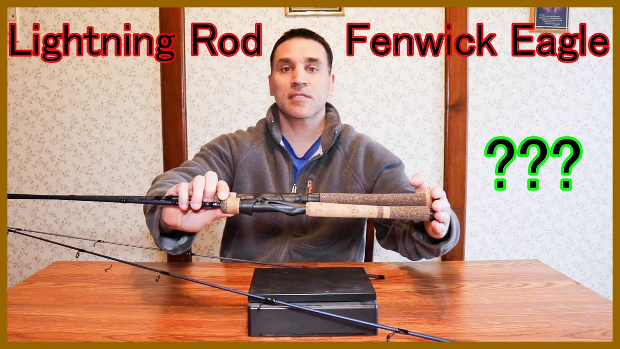 спиннинг Berkley Lightning против Fenwick Eagle