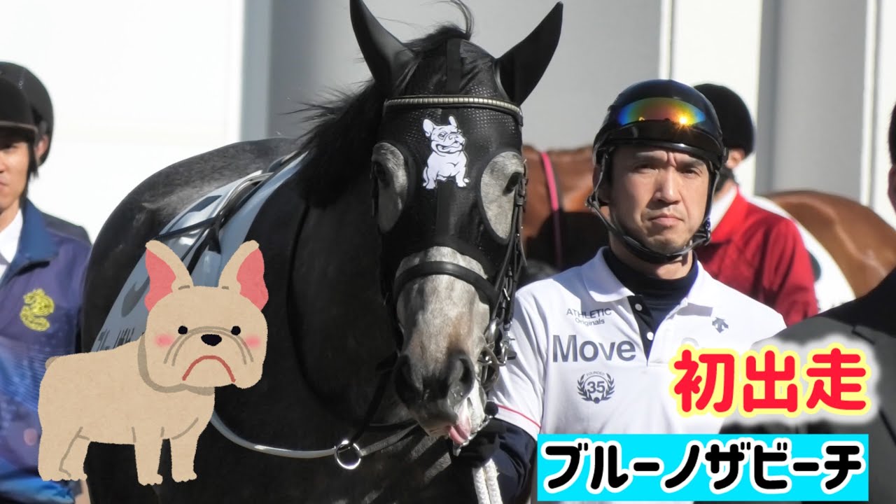 メンコにいるブルドッグが気になる！ブルーノザビーチ