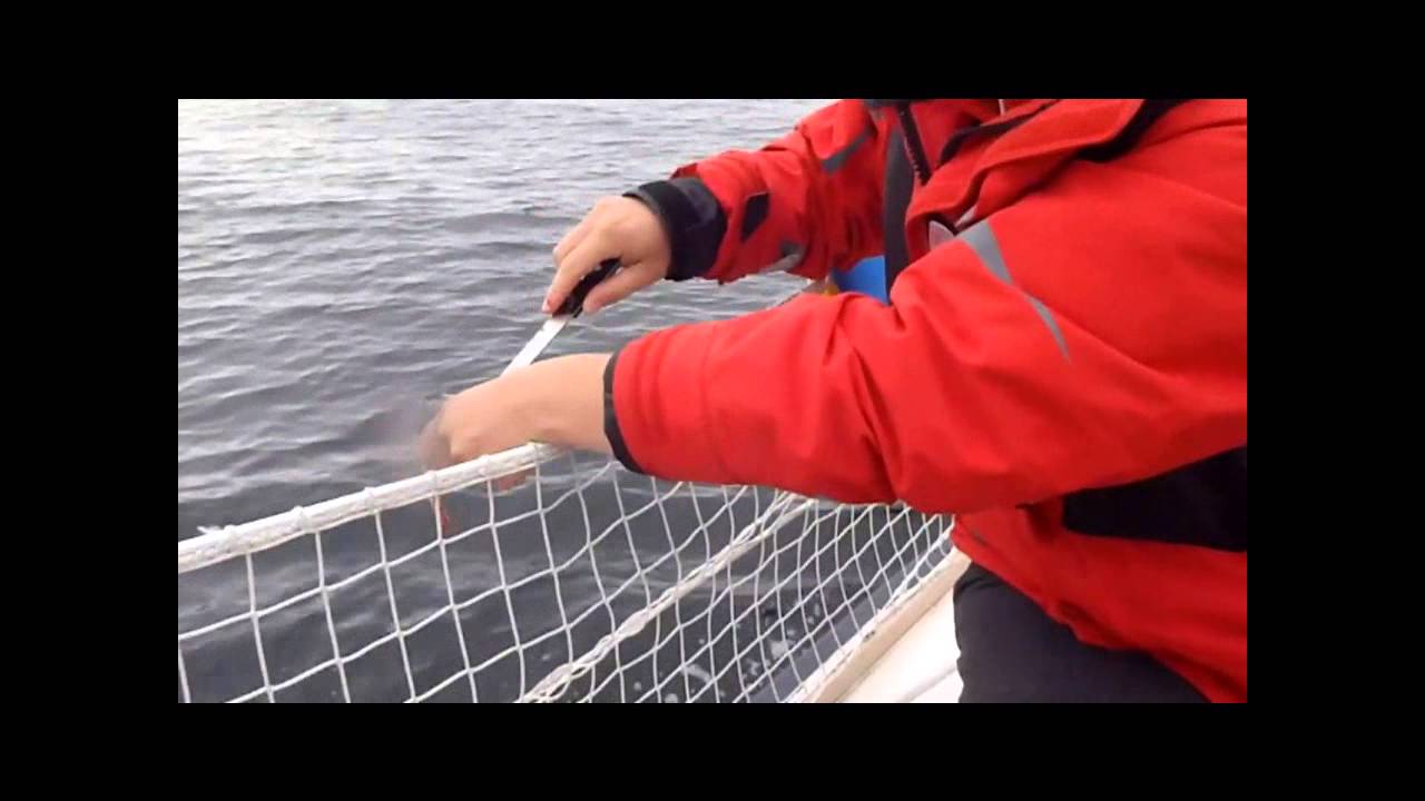 Zeilen naar Noorwegen (Farsund - Lysefjord en terug)