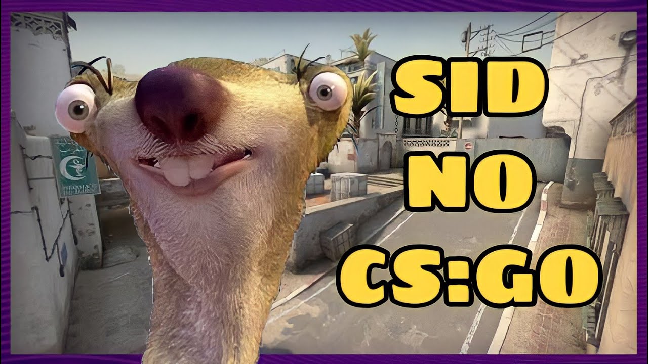 SID JOGANDO CS:GO