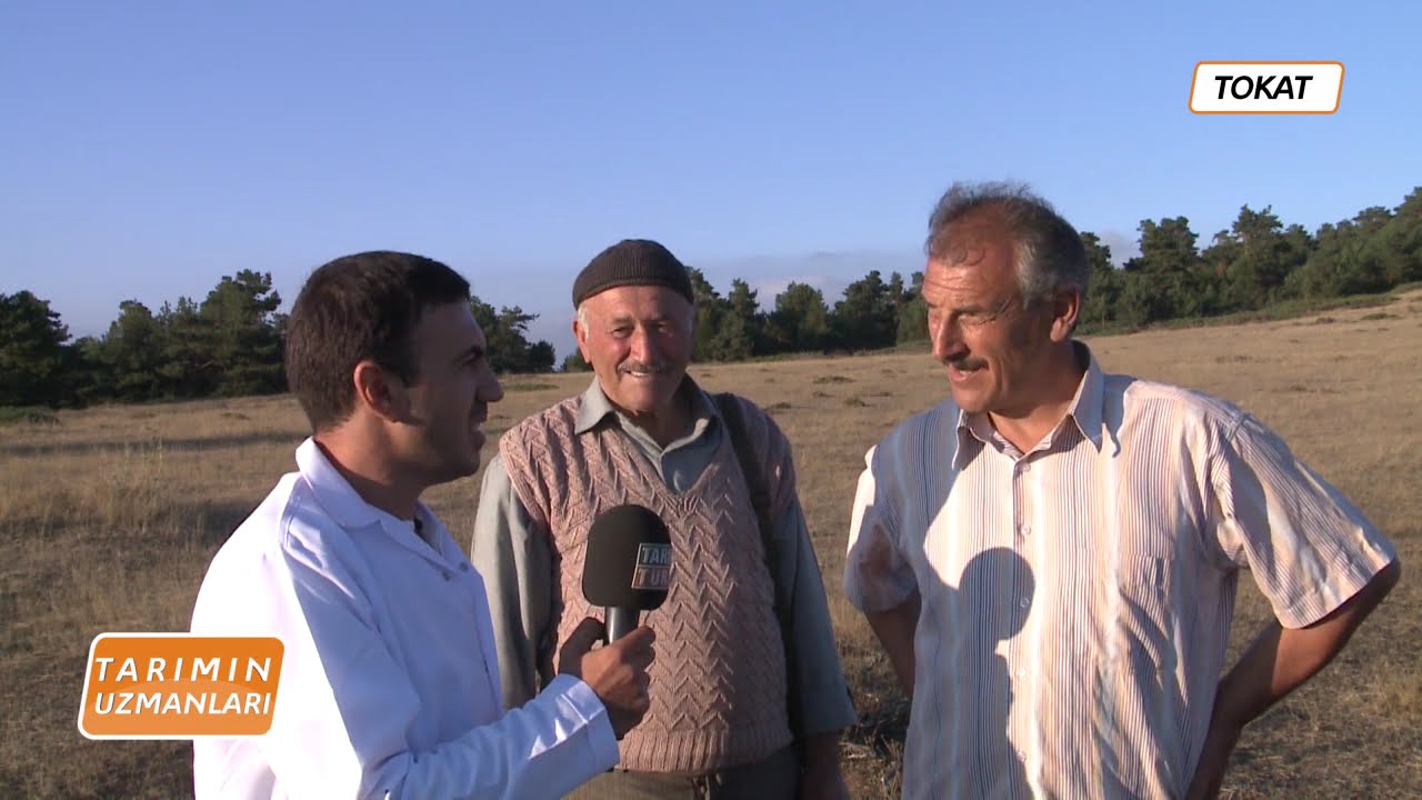 Küçükbaş Hayvancılıkta Koç Katımı ve Doğumun Toplulaştırılması | Uzman Anlatımıyla (Bölüm 2)
