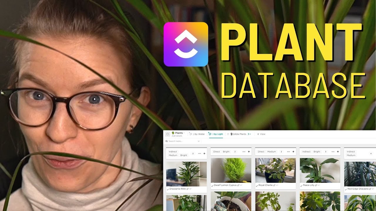 How to Build a Houseplant Database Using ClickUp: ClickUp for Personal Use