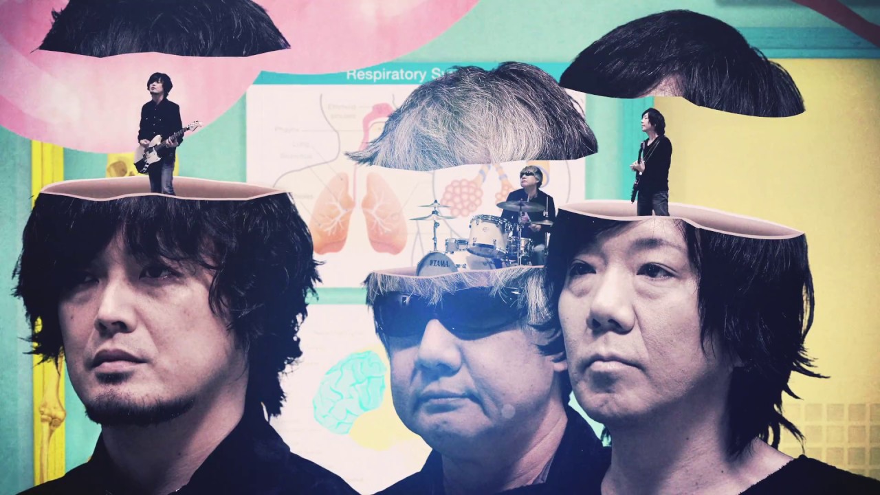the pillows 