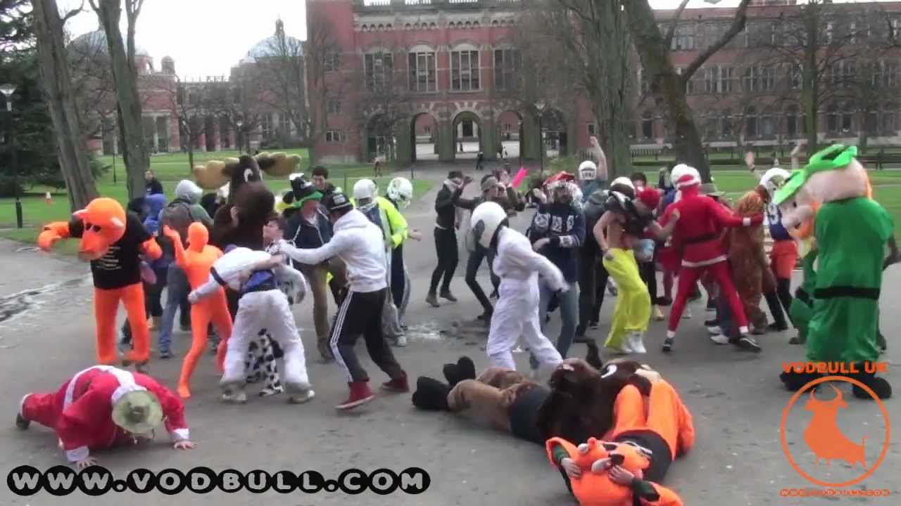 University of Birmingham Harlem Shake