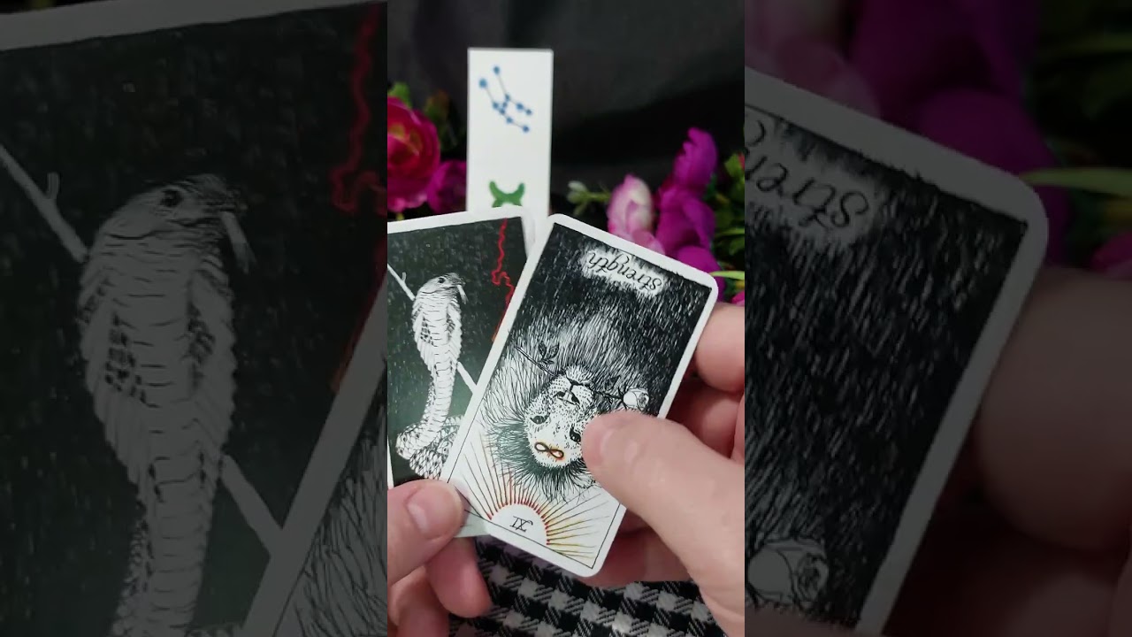 Taurus tarot reading quick Insight 
