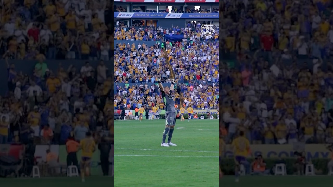 🙌🏼🗣️ &iexcl;Tigres es pasi&oacute;n, lo entendiste todo, 'Pat&oacute;n'!