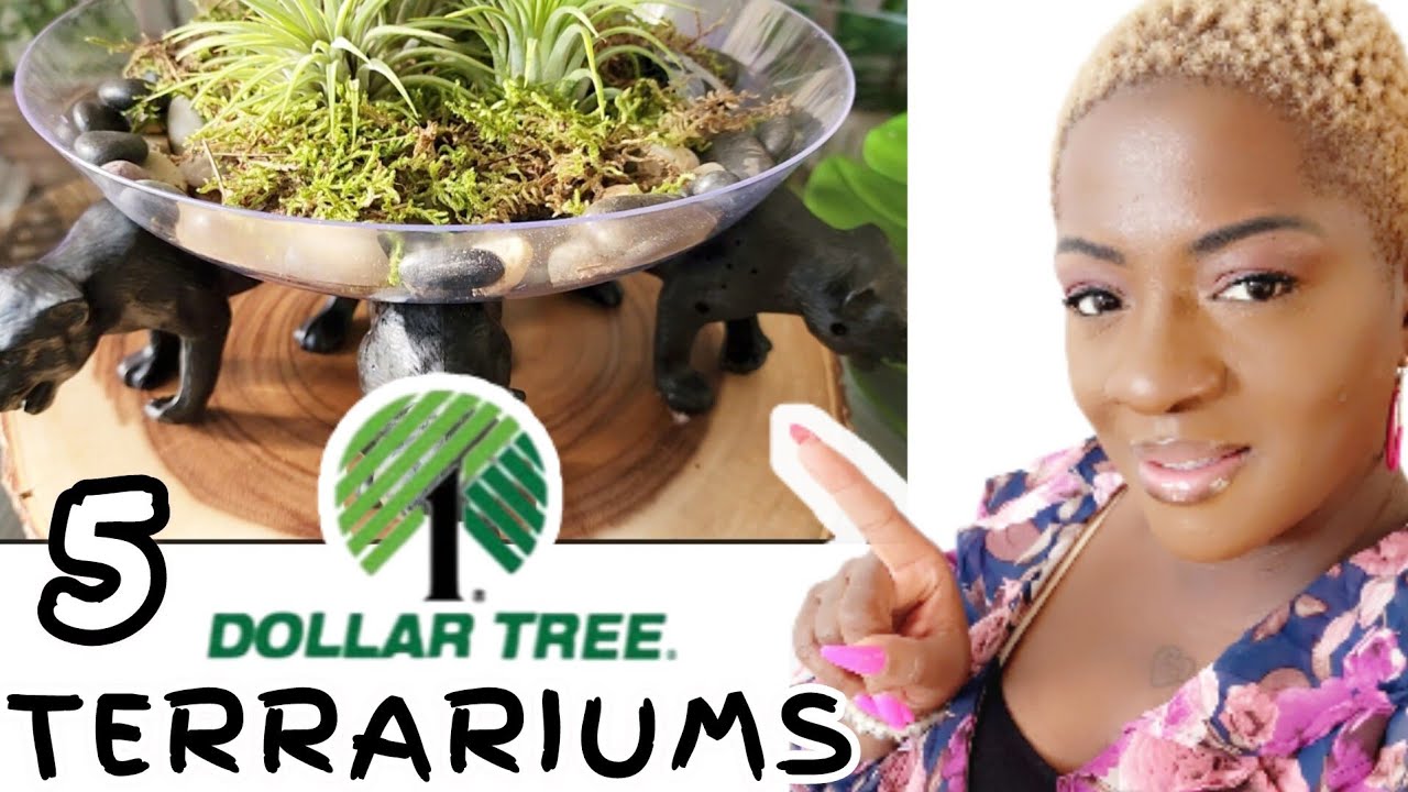 Террариумы своими руками Dollar Tree 2024