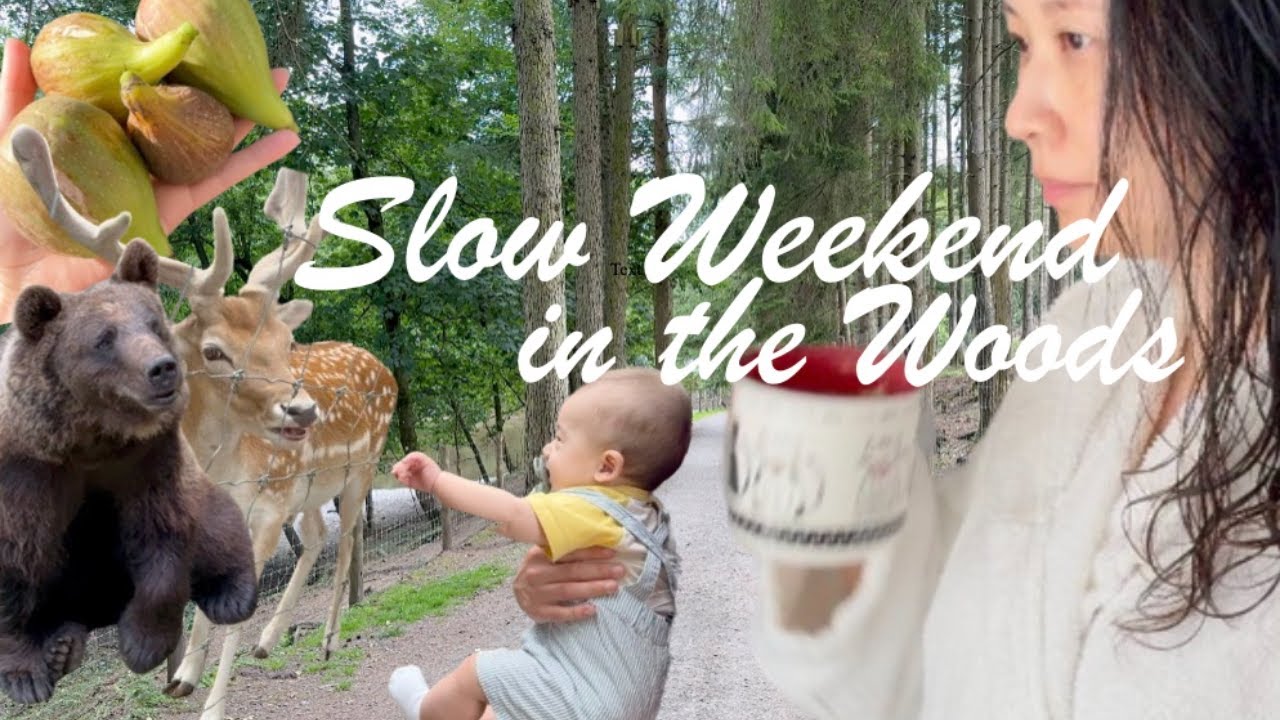 Slow Weekend in the Woods | Home Fig Salad  | Forestia Zoo Day Vlog