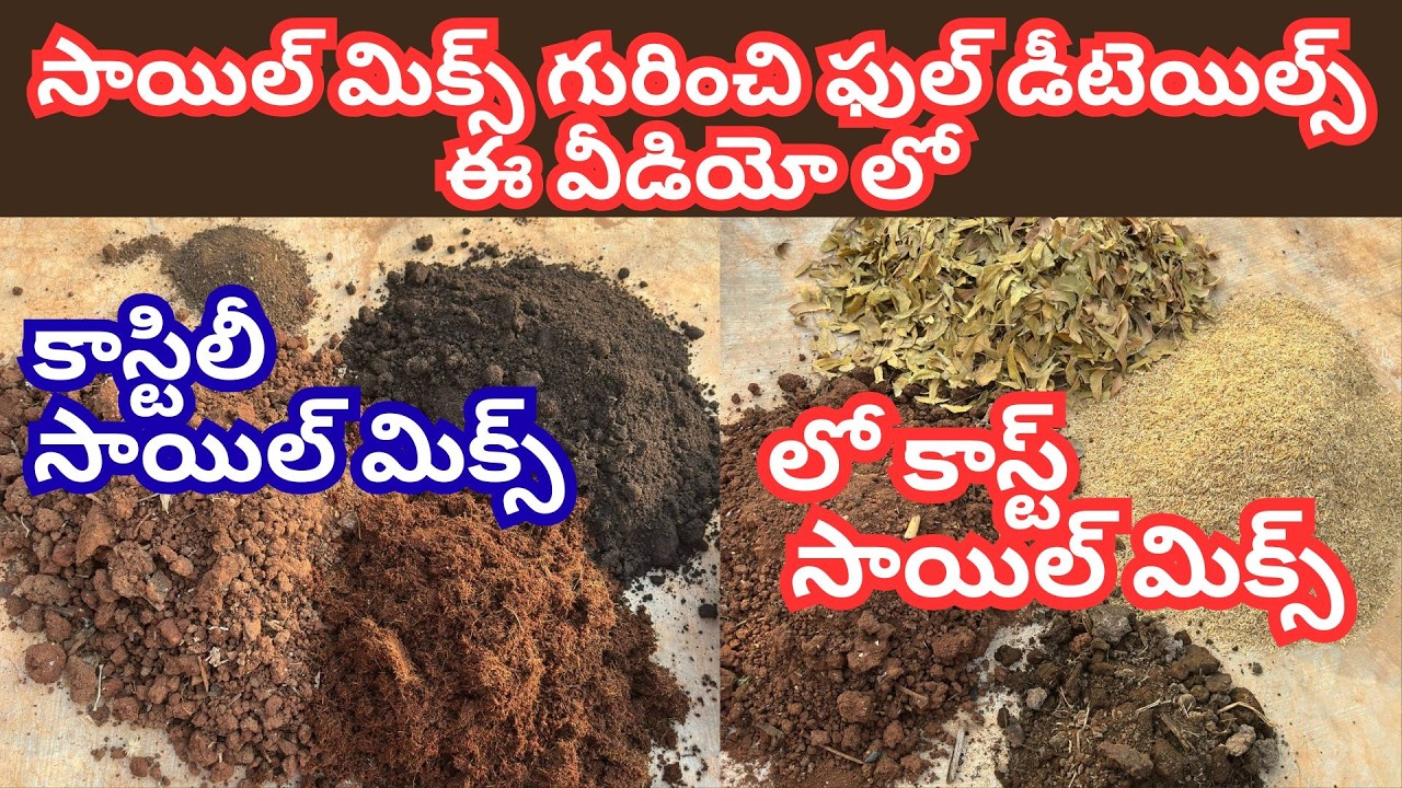 మొక్కలు ఎందుకు పెంచాలి...అందరికి ఉపయోగపడే వీడియో #trending #viralvideo #garden #plants #gardening