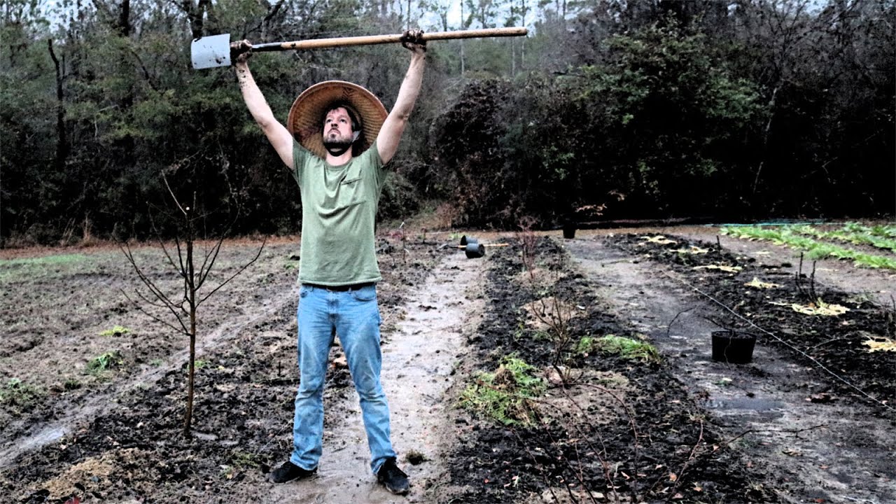 THIS GARDENING SYSTEM IS 1000% ORIGINAL