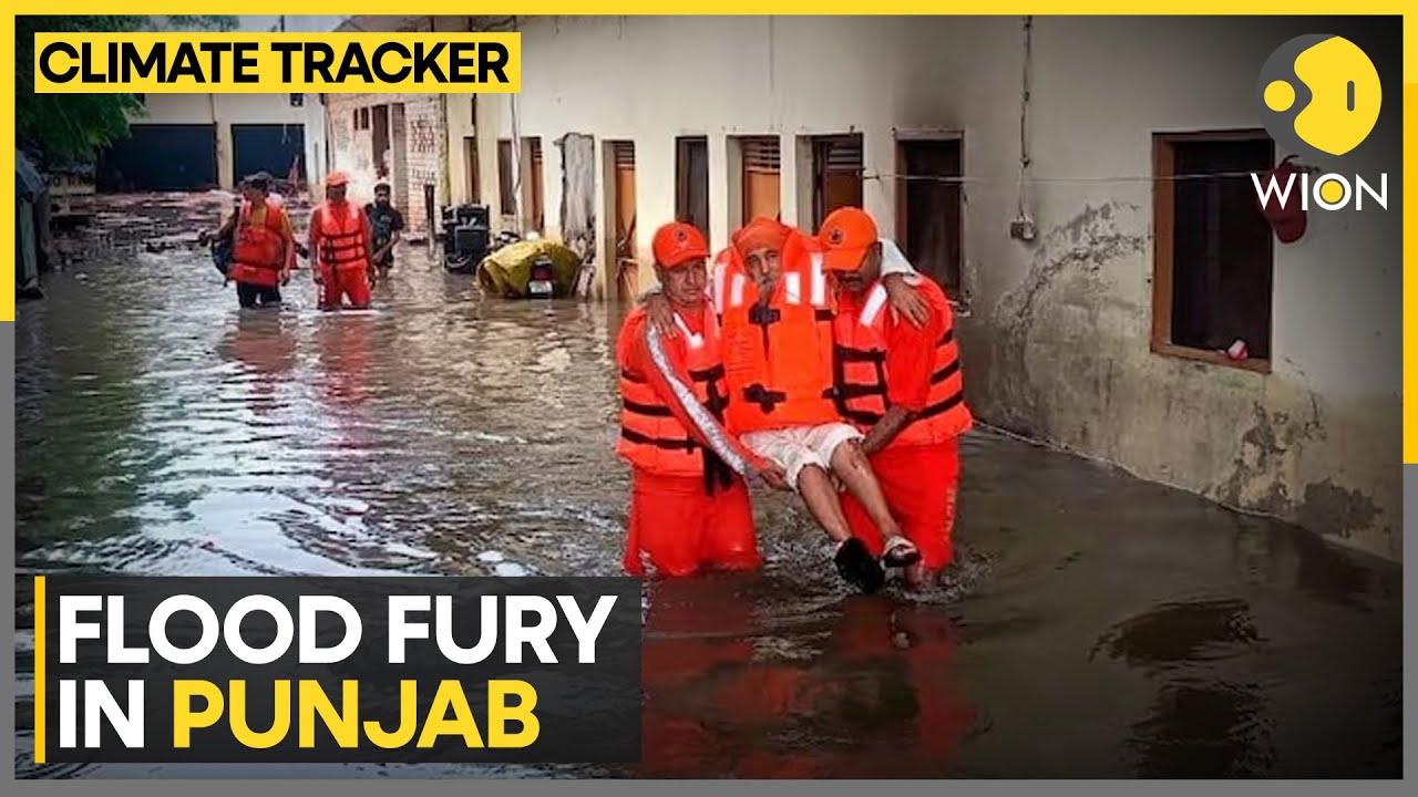 Punjab Reels Under Worst Floods in Decades | WION Climate Tracker