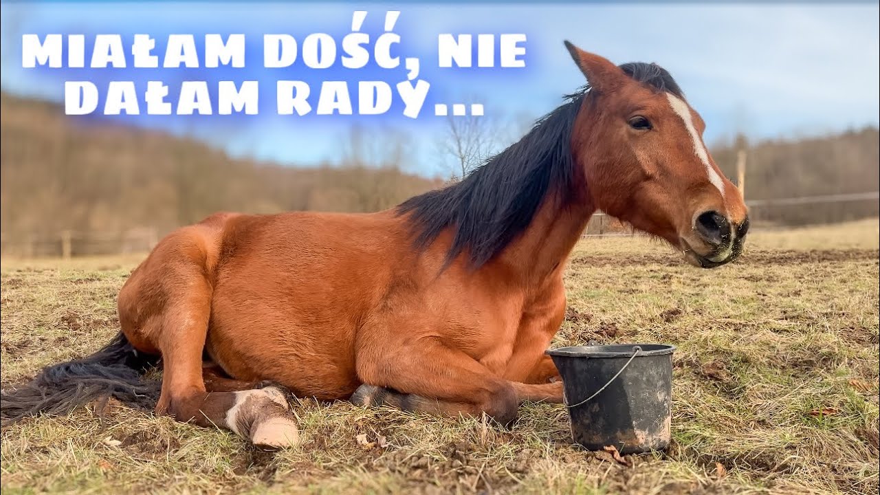 Nieudane skoki, nocny kulig, ucieczka koni...