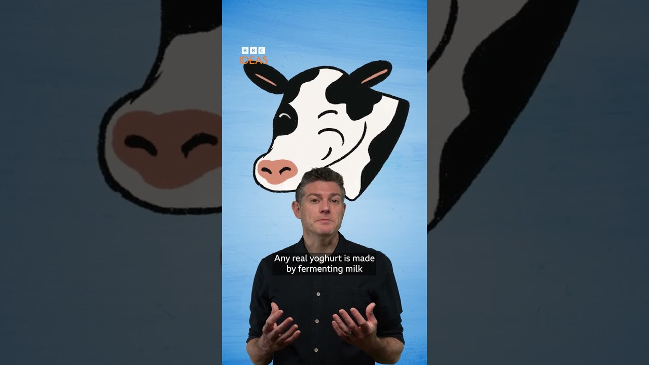 Can eating local yoghurt on holiday prevent an upset stomach? #science #bbcideas