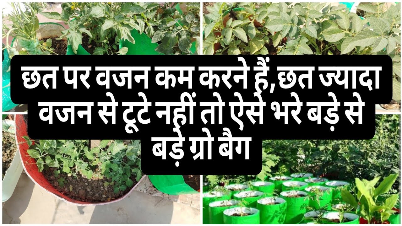 छत पर वजन कम करने हैं,छत ज्यादा वजन से टूटे नहीं तो ऐसे भरे बड़े से बड़े ग्रो बैग 