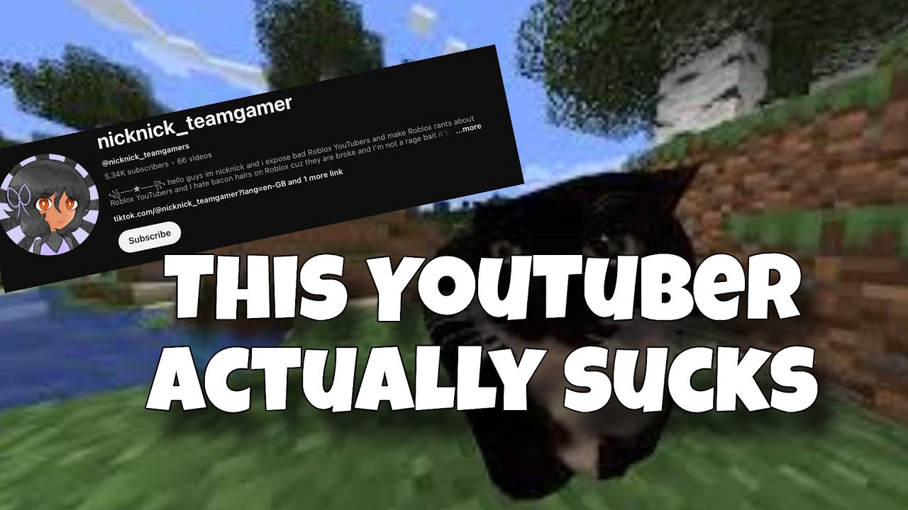 Another Ragebait Channel
