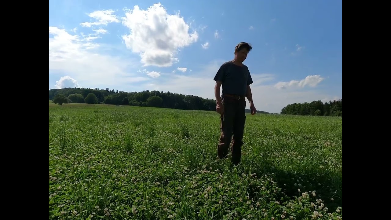 Farmvlog #7 / Feldrundgang 🌱🌾