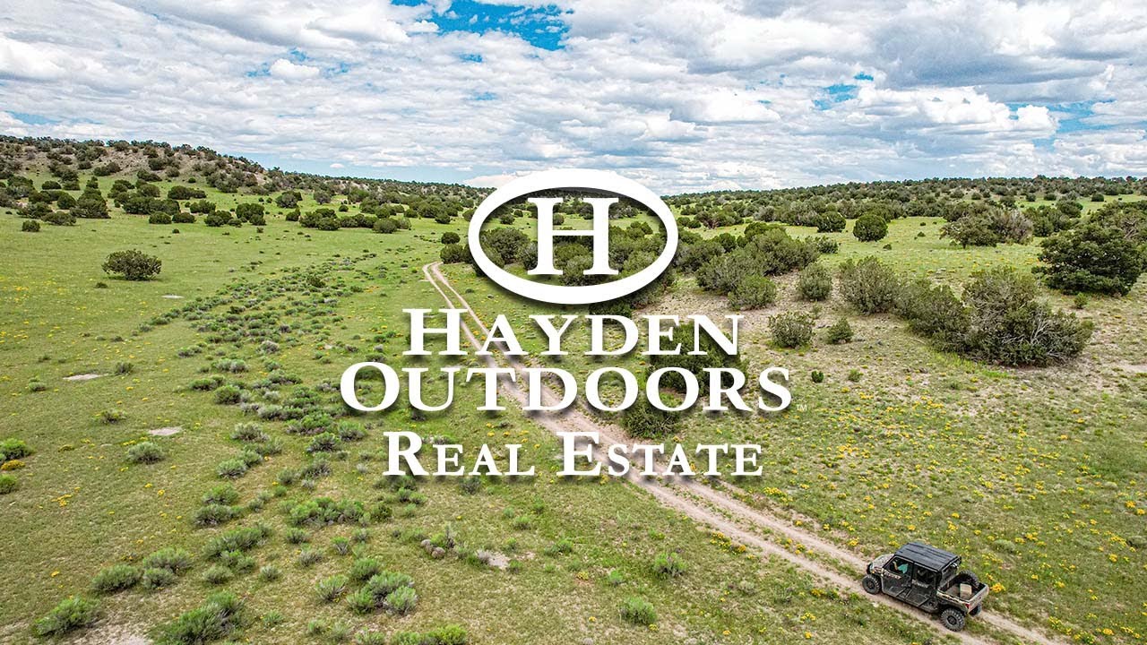 ELK MEADOWS RANCH - CATRON COUNTY, NEW MEXICO