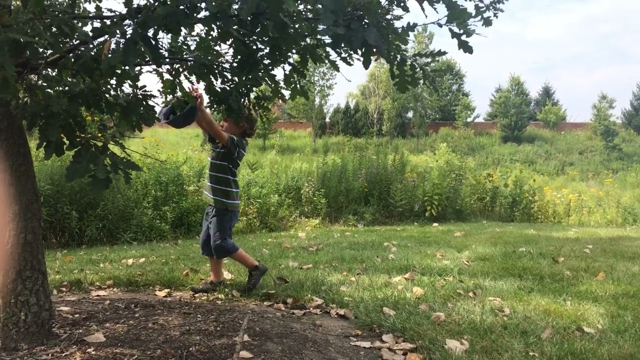 Buster Keaton inspired moment 