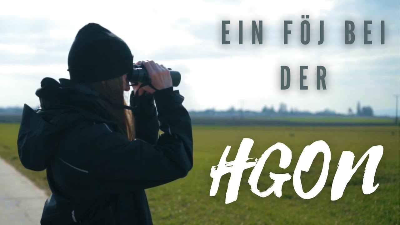 Das Freiwillige Ökologische Jahr (FÖJ) bei der HGON