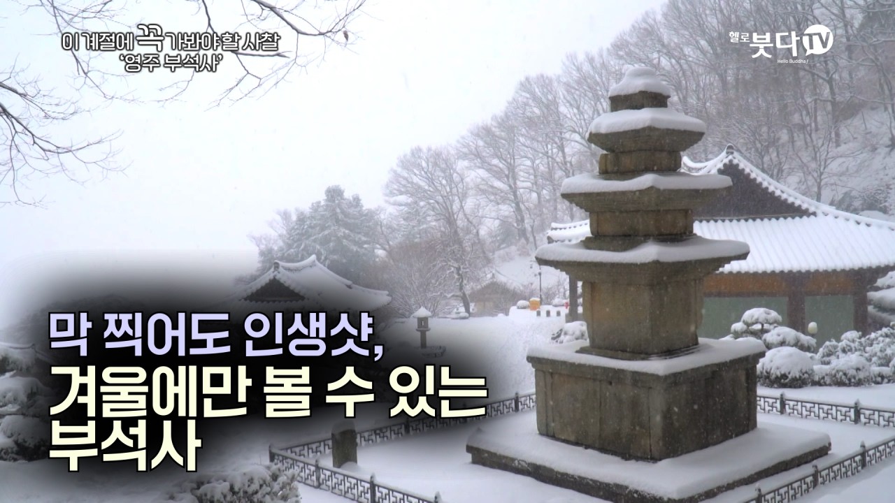 막 찍어도 인생샷, 겨울에만 볼 수 있는 부석사 | 눈, 바람, 물, 새소리로 듣는 마음여행 | 이 계절에 꼭 가봐야할 사찰 '영주 부석사'