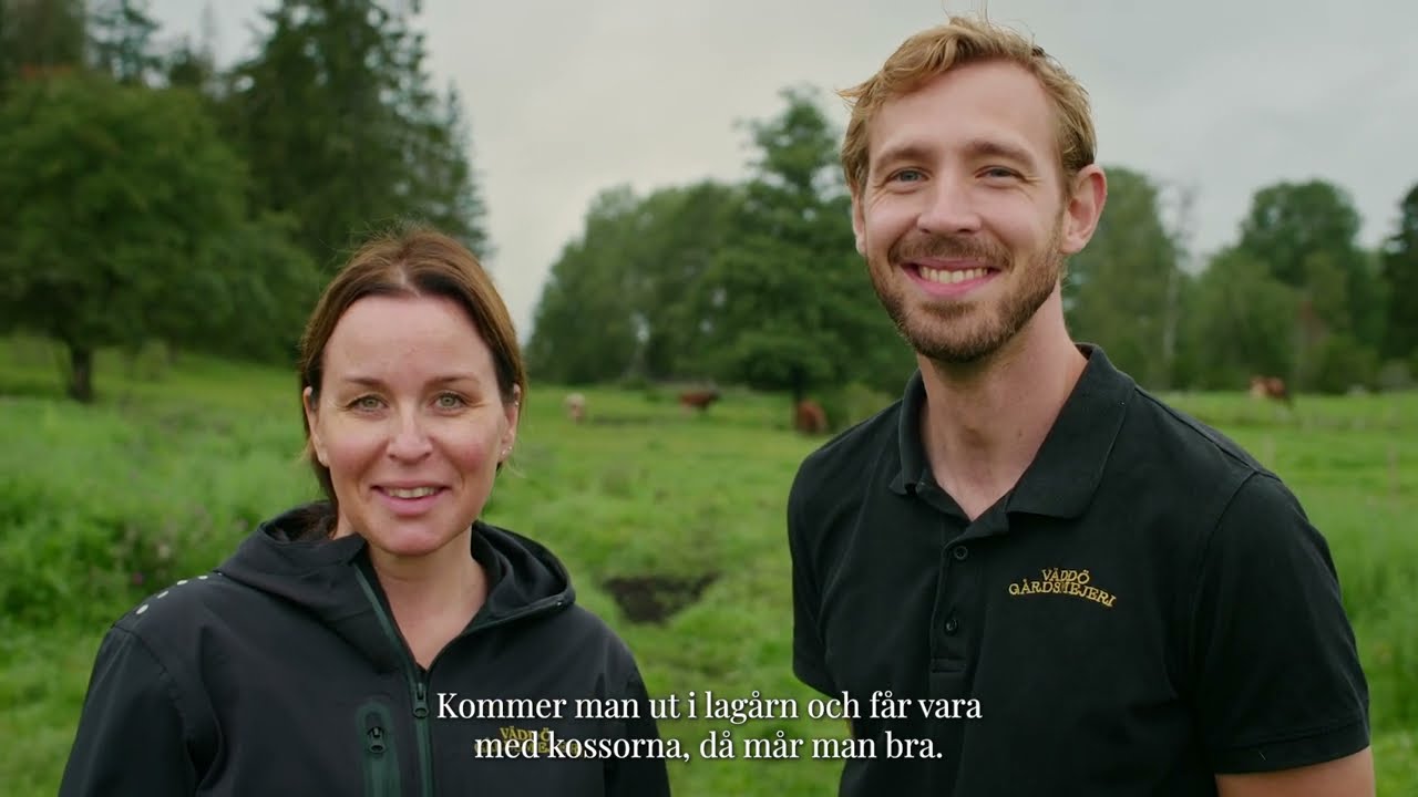 Väddö Gårdsmejeri – förädlar produkter från hage till mage