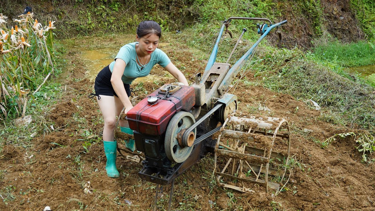 Plow the fields to make beds to sow grain, repair houses P65 - live alone in the forest