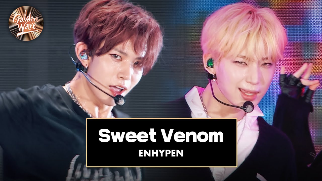[골든 웨이브] ENHYPEN (엔하이픈) - 'Sweet Venom' ♪ | JTBC 240504 방송