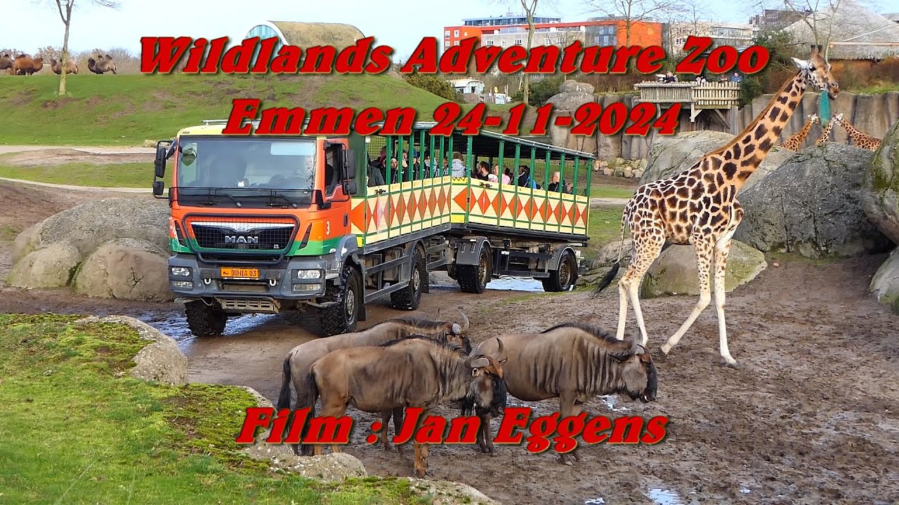 Wildlands Adventure Zoo Emmen 24 11 2024