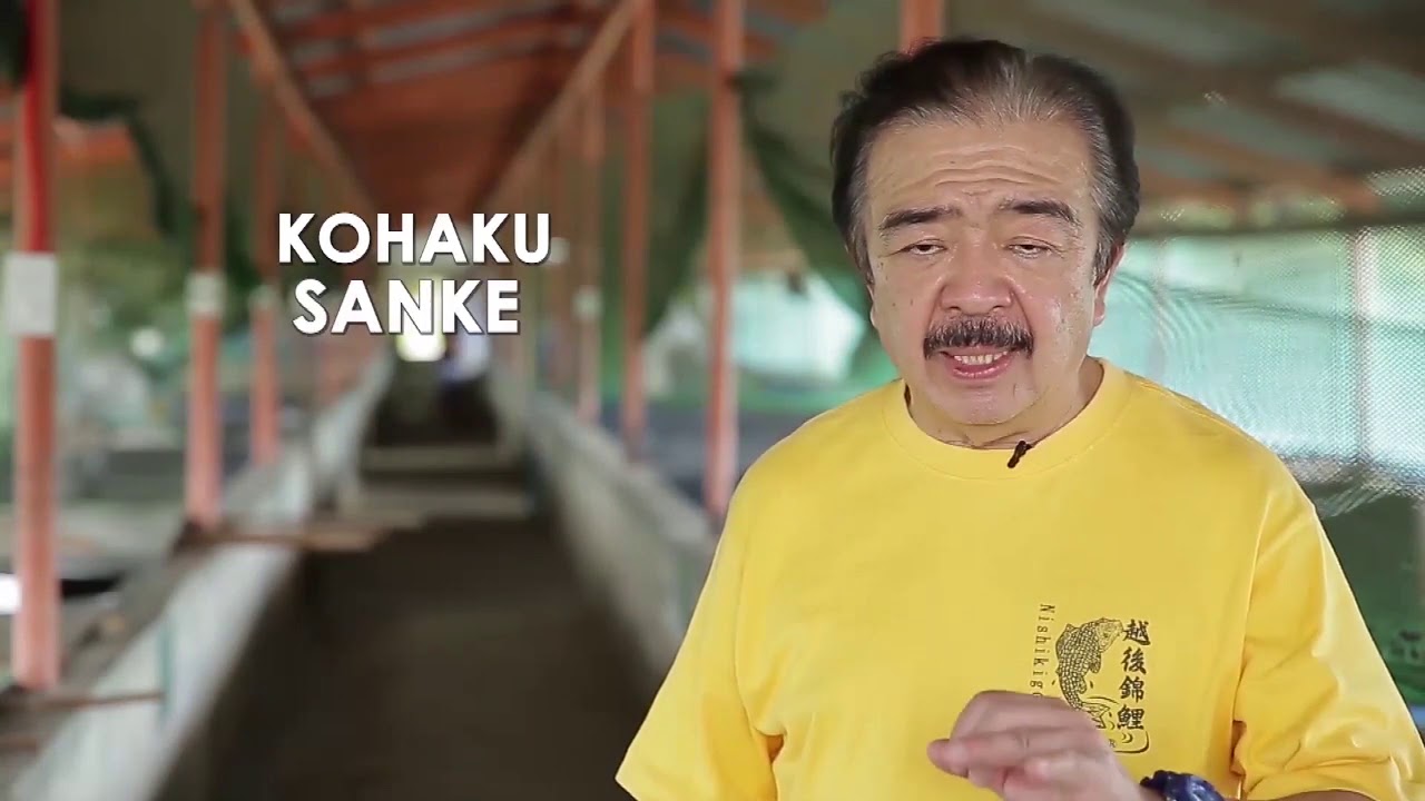Alagang Magaling S1 Ep8   Hayashi Koi Farm