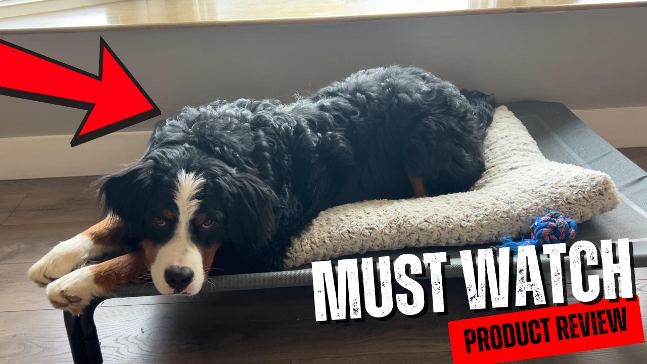 Amazon Product Review | KSIIA Washable Dog Bed Deluxe Plush Dog Crate Beds Comfy Kennel Pad