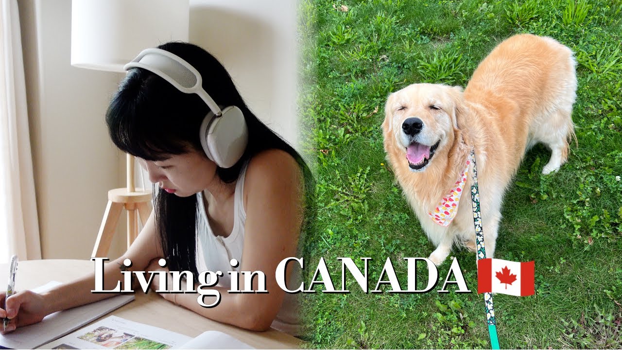 🇨🇦 VLOGㅣ두 딸이랑 강아지랑 캐나다에서 살기 50일 차! 영어 공부도 시작하기ㅣ강아지랑 수영하고 목욕 하기ㅣLiving in CANADA