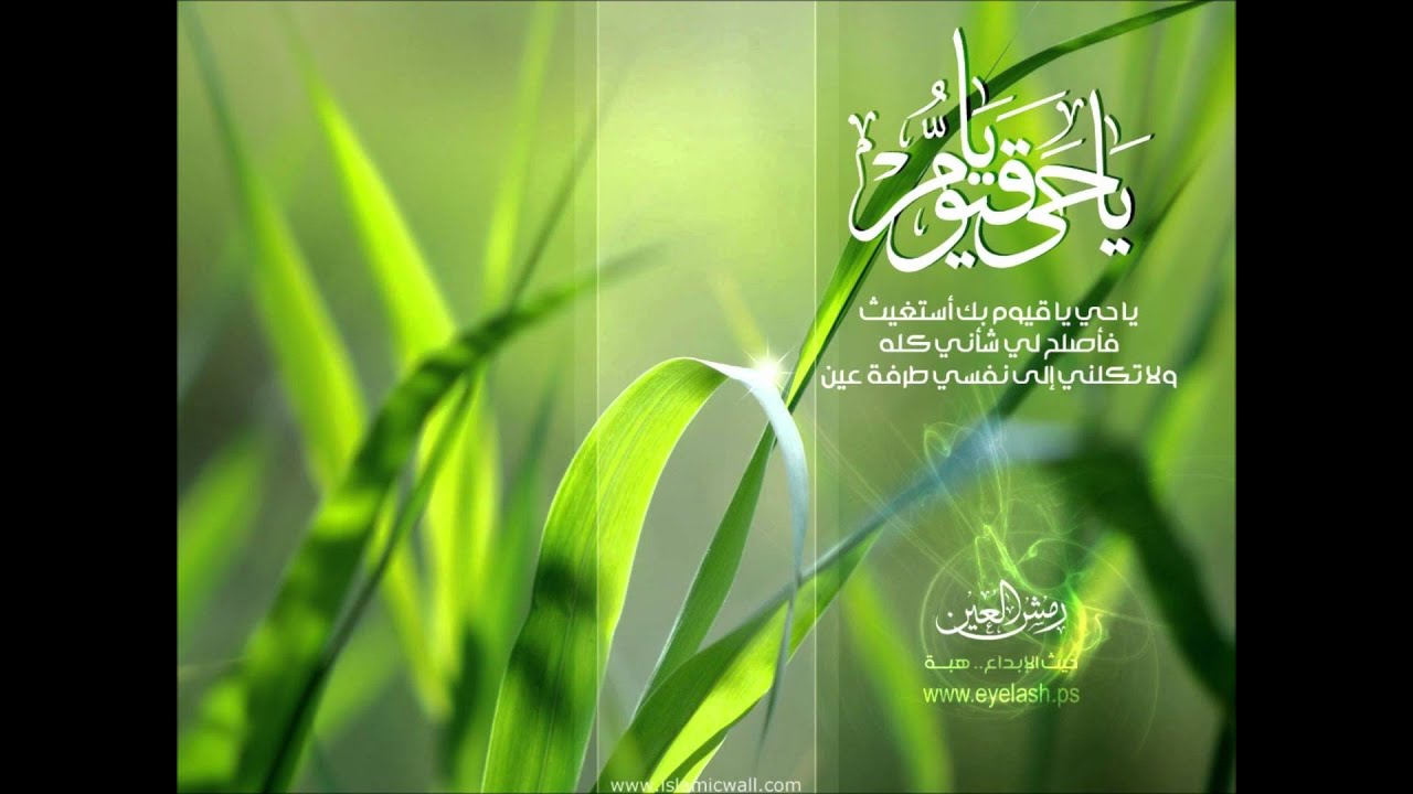 قراءه بصوت رهيب ( خالد الوصابي جزء 19)
