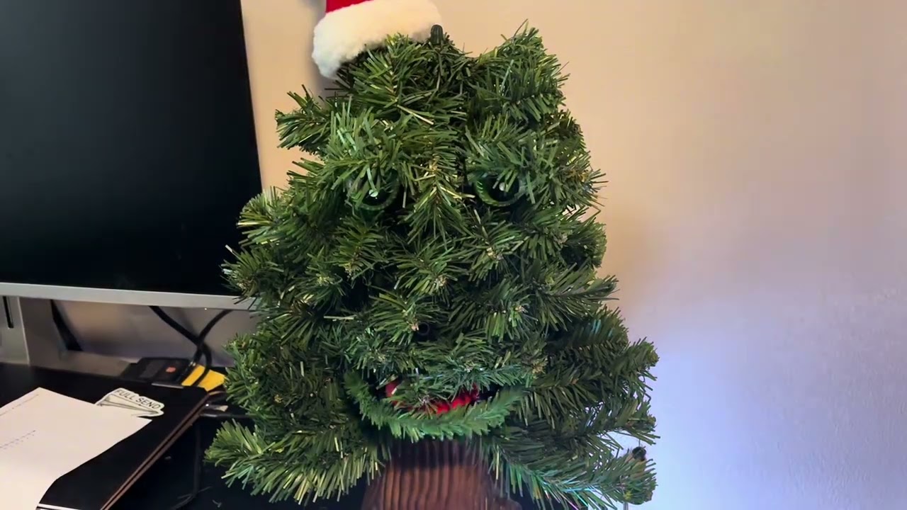 Douglas fir 1996 (uncommon)