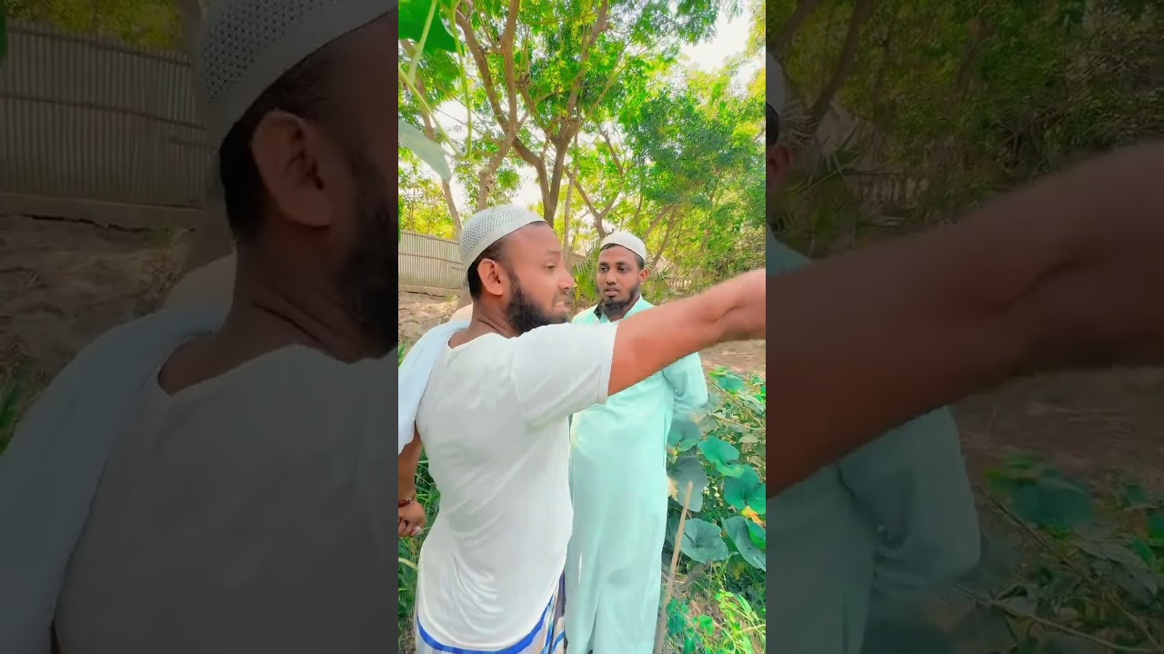 মুরুব্বির জমি কিনলাম 
