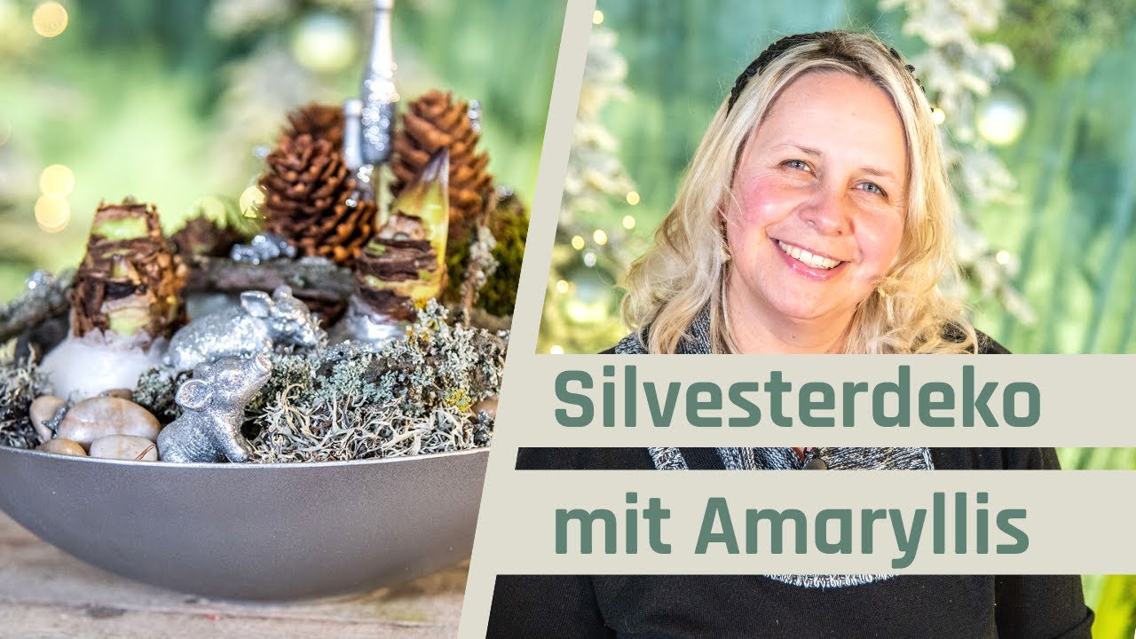 Silvesterdeko mit Amaryllis selber machen | Edle Deko für den Jahreswechsel