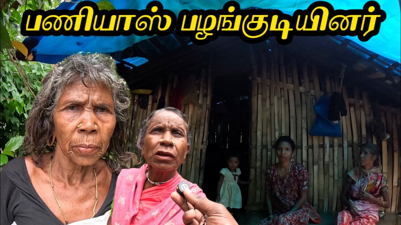 காட்டில் இருந்து வெளியேறிய வித்தியாசமான கலாச்சாரம் கொண்ட பணியாஸ் பழங்குடியினர்|paniyas tribes