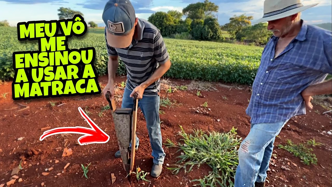 ADUBAMOS O MILHO COM A PLANTADEIRA MANUAL! 🌽