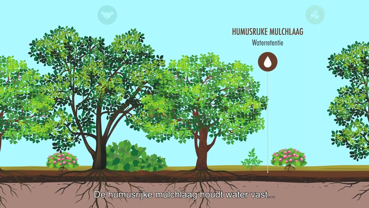 MultYlayer en plantconcept: Stedelijk groen sterker maken