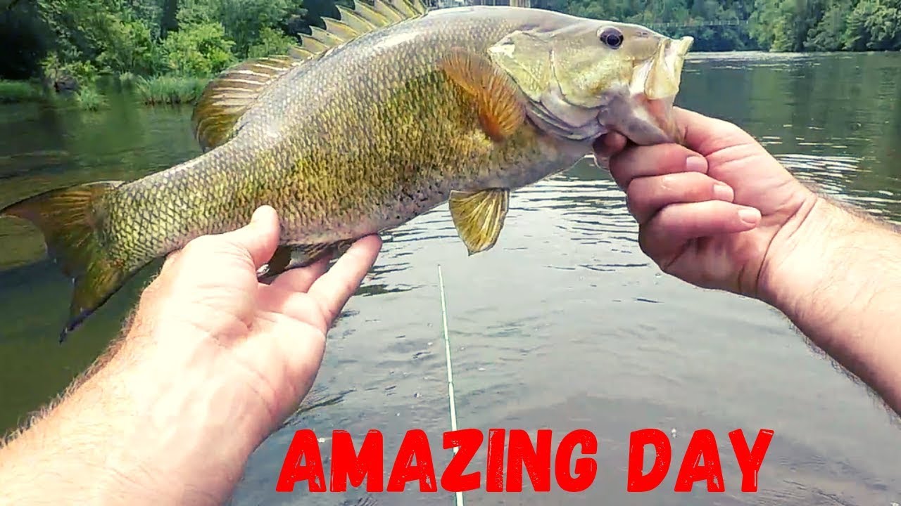 Sight Fishing River Smallmouth (Hiwassee River Wading)