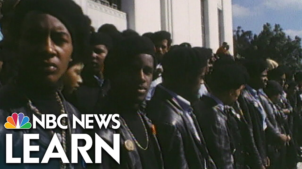 Black Panthers