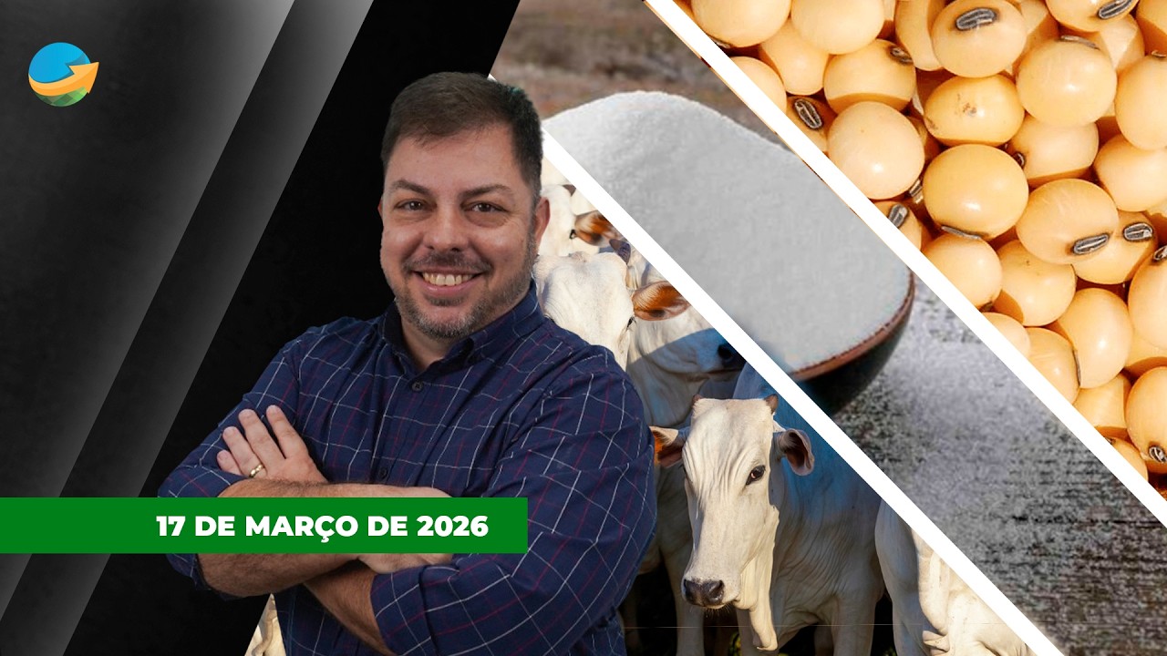 Mercado do boi travado, com poucos negócios e disputa por arroba; soja e açúcar fecham em alta...
