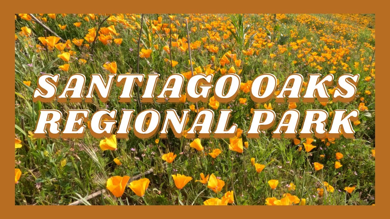 Santiago Oaks Regional Park | February 2023