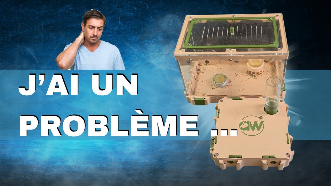 Alors là ! J'ai un problème avec cette fourmilière ...