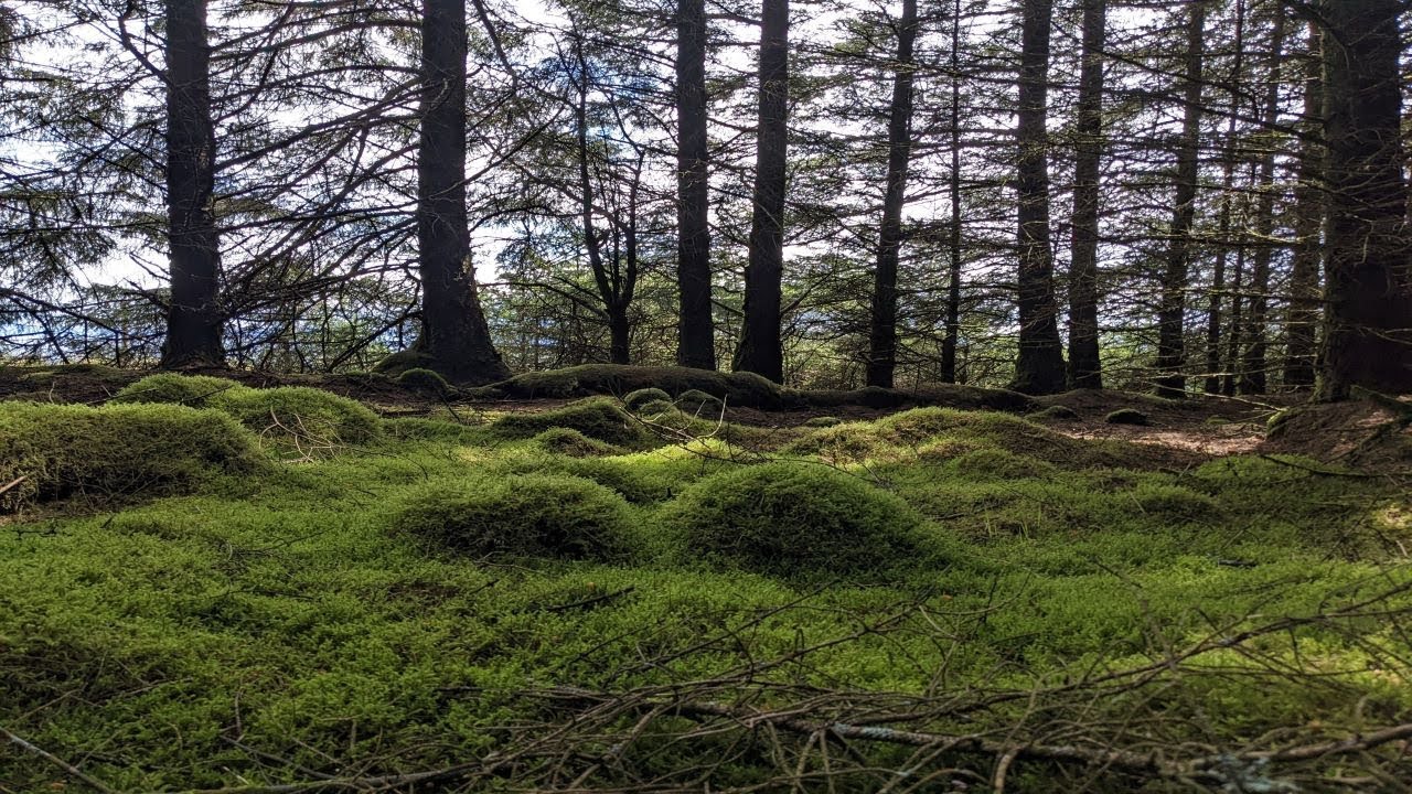 Walks on the Isle of Jura