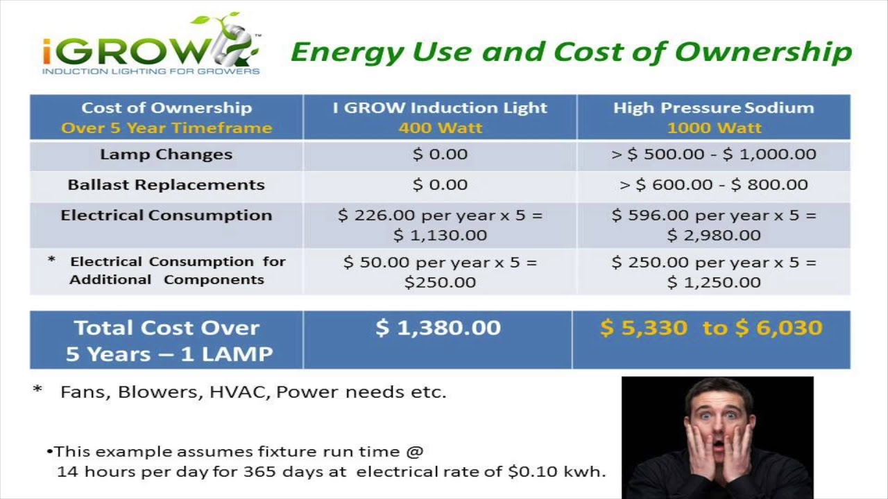 HID or HPS or Induction? Moving away from the standard 1000 WATT bulb