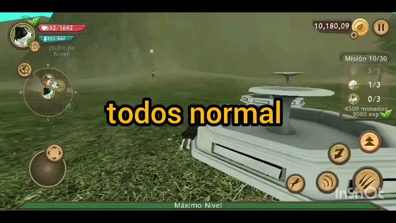 teoría falsa de dog sim 🤫