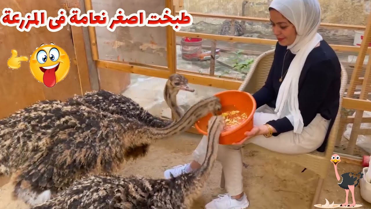 طبخت أصغر نعامة عندى فى المزرعة | لحم الملوك