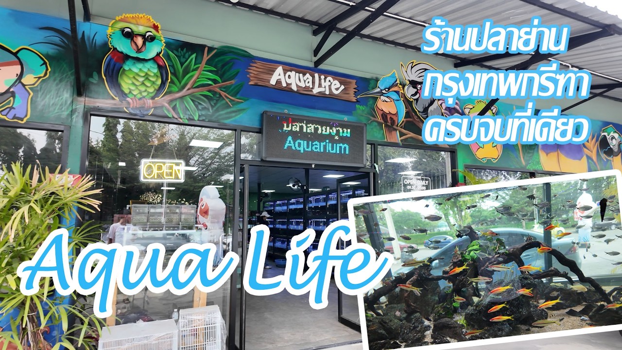 ซากานะซังพาทัวร์ : AquaLife ร้านปลาย่านกรุงเทพกรีฑา เลียบมอเตอร์เวย์ ครบจบที่เดียว